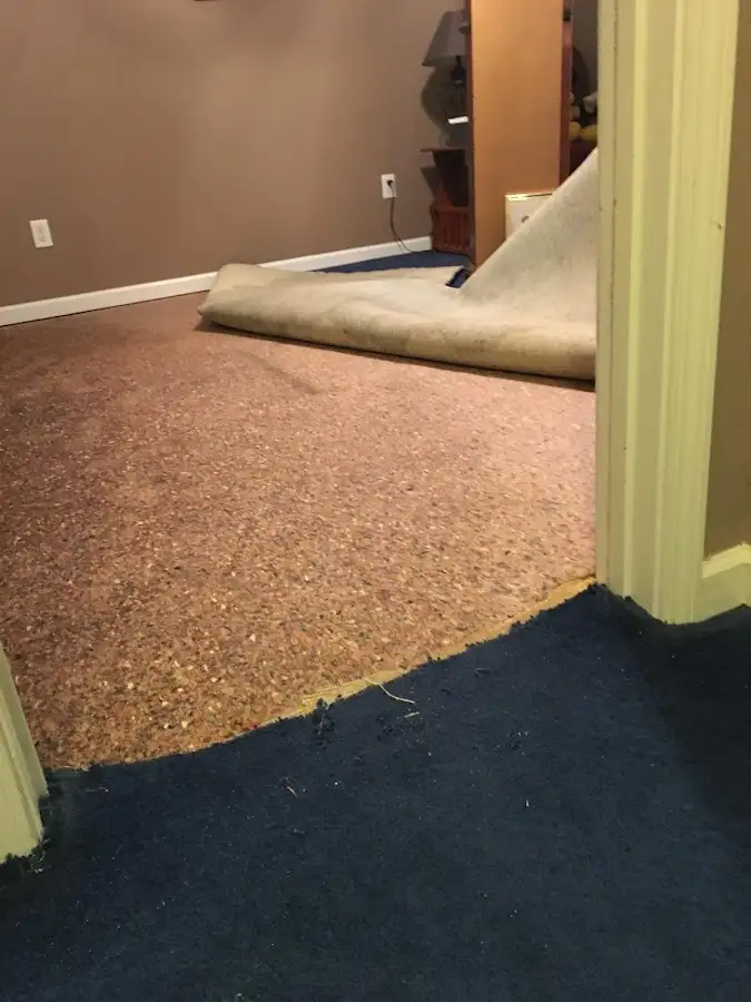 Carpet pad removal revealing water damage during Water Mitigation Services in Heartland