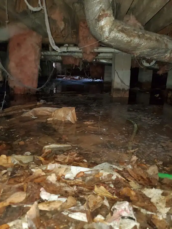Crawl space flood assessment for Leak Detection & Repair in Heartland