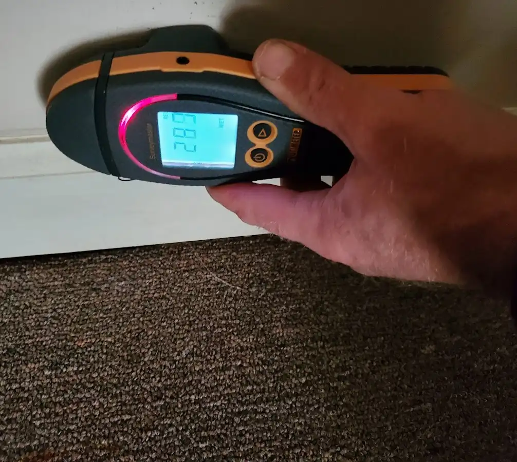 Moisture detection at baseboard during Mold Inspection & Testing in Heartland